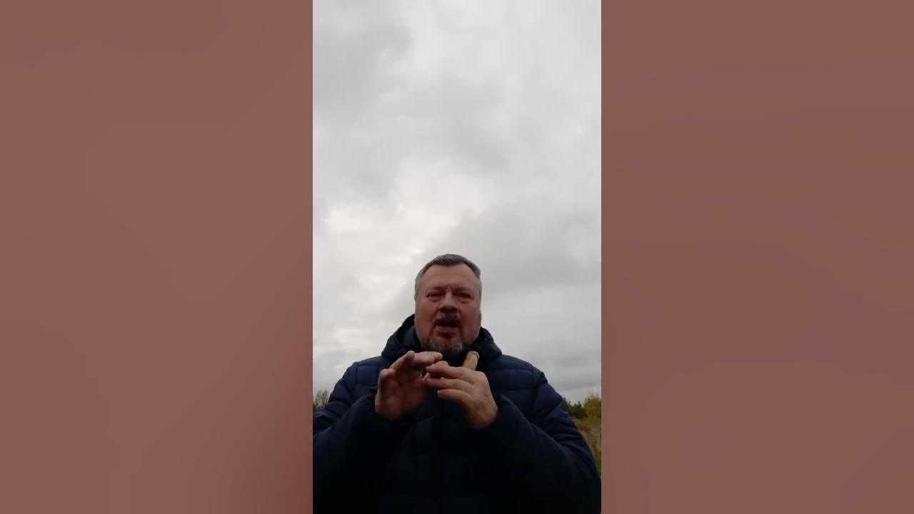 Маним гуся манком видео. Как манить гуся.
