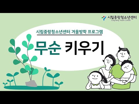 집에서 무순 키우기