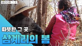 보령시 미산면 삼계리에 찾아온 봄,  그 곳의 이야기 [공간다큐 그 곳]