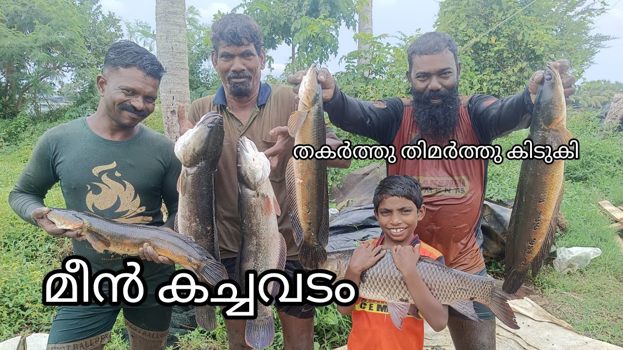 മീൻ കച്ചവടം തകർത്തു തിമർത്തു കിടുകി 