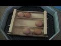 How To Make A Automatic Egg Turner For Your Incubator How To Make A Automatic Egg Turner For Your Incubator