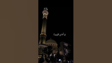 سورة التين آية ٤ 🌸| لَقَدْ خَلَقْنَا الْإِنسَانَ فِي أَحْسَنِ تَقْوِيمٍ 