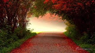 ONE HOUR Dean Evenson Sound Healing Music Mix - De-stress, Anti Stress, Relaxation, Yoga