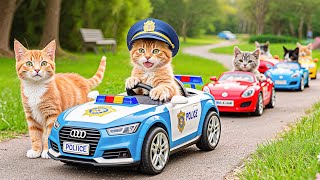 Download Lagu Mama Cat Sells Pizza 🍕 to Buy Kitten’s Dream Toy Car 🚗🐱 | Heartwarming \u0026 Healing Story MP3 Download Lagu Mama Cat Sells Pizza 🍕 to Buy Kitten’s Dream Toy Car 🚗🐱 | Heartwarming \u0026 Healing Story MP3