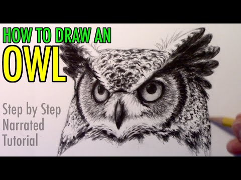 How to Draw an Owl: Narrated Step-by-Step Tutorial