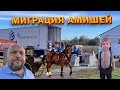 Миграция Амишей,из Нью-Йорка в Мичиган/Парковка задним ходом/Цены в Алди/Авто. 89/23