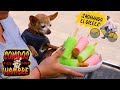 ¿¡Compra SUERTE y recibe PALETAS de hielo!? | Sonidos que dan hambre