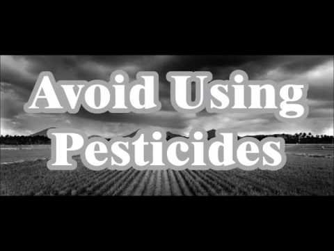 Como proteger a biodiversidade