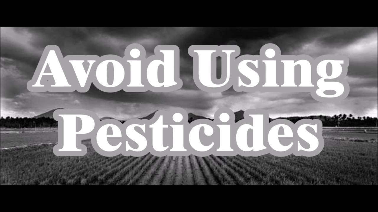 How To Protect Biodiversity