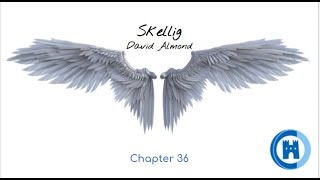 Skellig   Chapter 36