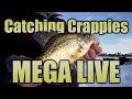 Catching Crappies with MEGA Live