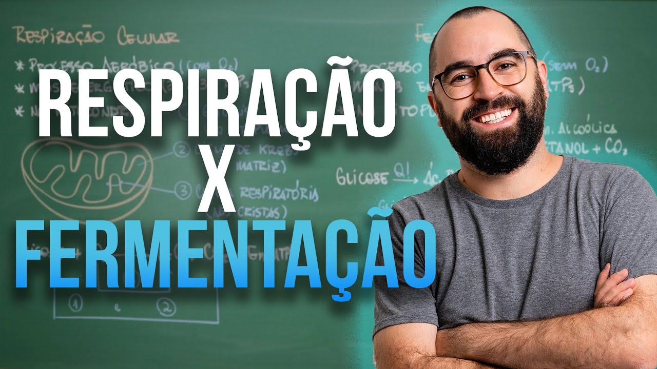 Comparação: Respiração celular x Fermentação - Apêndide 1 - Módulo 1: Biologia Celular