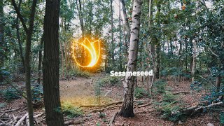 Sesameseed - staking, on steroids
