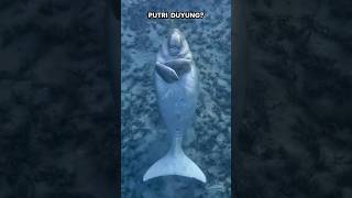 DUGONG | Si Putri Duyung