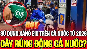 Bí Ẩn Xăng Sinh Học E10: Áp Dụng Toàn Quốc Từ Năm 2026 Tác Động Đến Cuộc Sống | Vấn Đề Cơ Bản