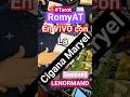 Sesión#6 Vivo ☆Lenormand☆ con La Cigana Maryel. #RomyAT