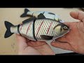 lure making | The Crusian carp swimbait