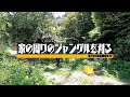 家の周りの草刈りをしたら石垣が出てきた