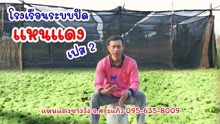 โรงเรือนแหนแดงระบบปิด เฟส2 ขยายฟาร์มขนาดนี้แล้วจะขายที่ไหน? ฟาร์ม​แหน​แดง​ชาววังจ.สระแก้ว0815164636