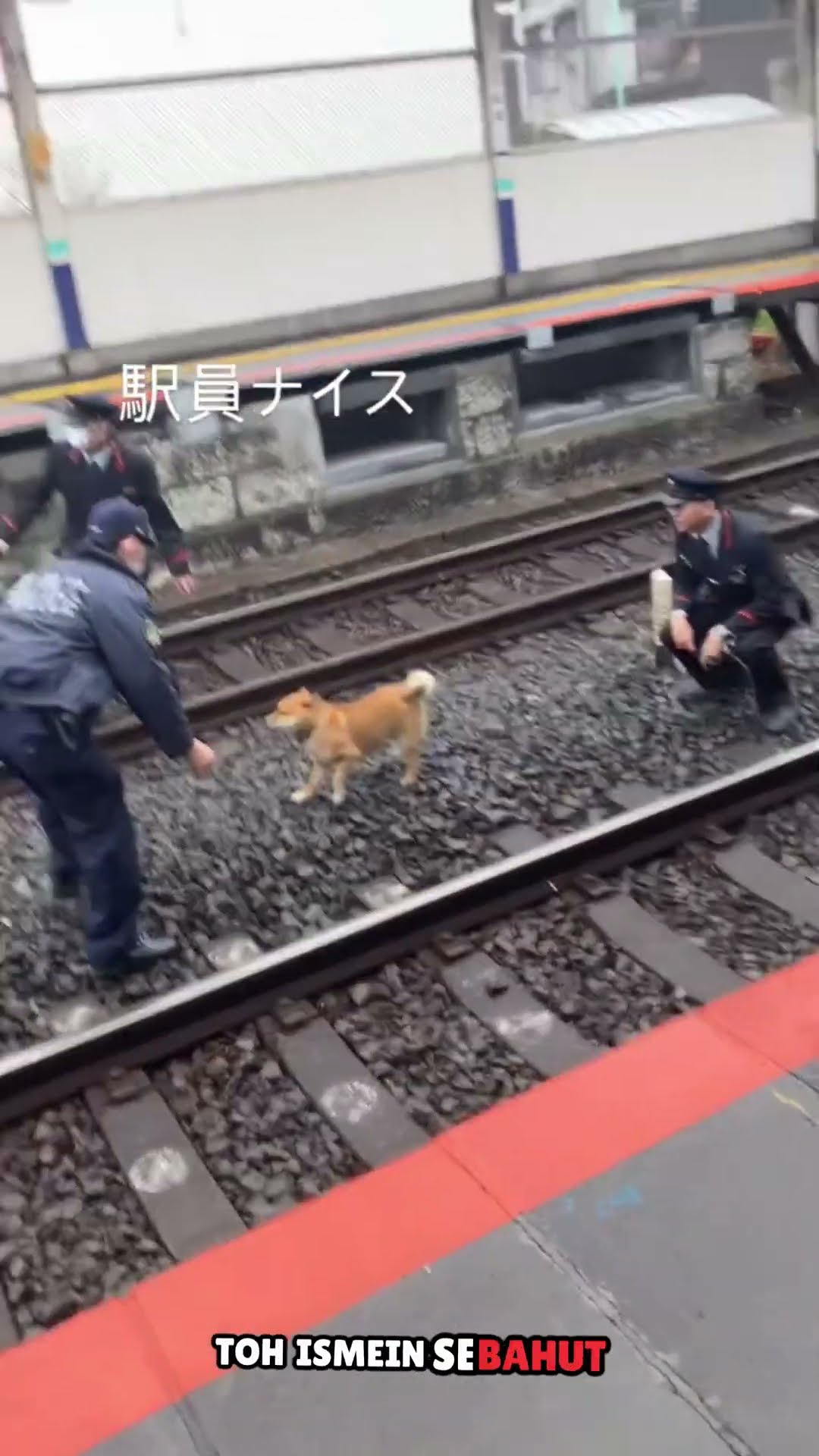 Japanes police #shortvideo