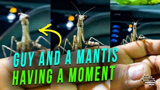 Loud Car Interrupts a Guy and a Mantis While Having a Moment