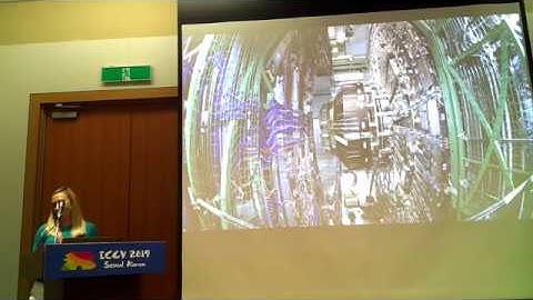 ICCV 2019 pre-registration workshop - Michela Paganini