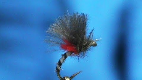 Fly Tying a CDC Midge with Jim Misiura