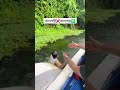 জলপরী❌️জলপরা✅️  #boys #viral #insta #funny #trending #reels #fyp #duet #comedy #relatable