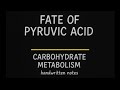 Fate of pyruvate | pyruvic acid | Carbohydrate Metabolism | Sources | Fate of Pyruvic acid | Notes