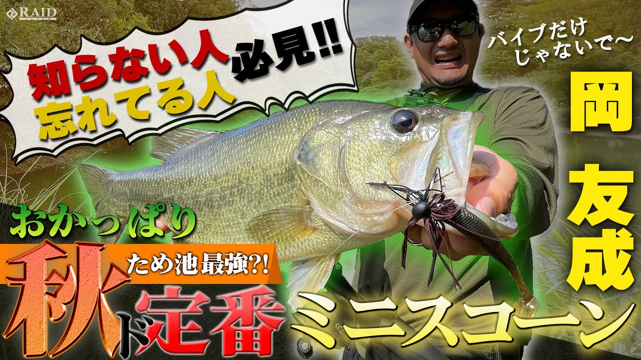 【RAID JAPAN】知らない人.忘れてる人必見!!秋のため池攻略/バイブレーションだけじゃない!!