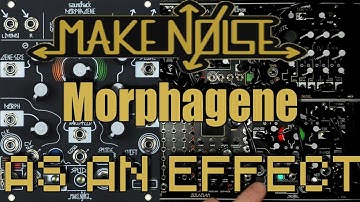 Make Noise Morphagene as an Effect Tutorial | Eurorack