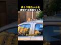茶トラ猫ちゃんを真似する黒猫ちゃん
