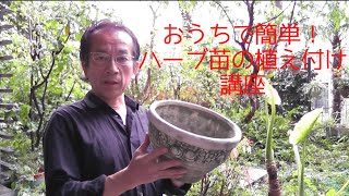 【日本メディカルハーブ協会】おうちで簡単！ハーブ苗の植え付け講座