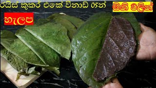 රයිස් කුකර් එකේ විනාඩ් 05න් හැලප හදමු/helapa recipe /Rasa Rahasa