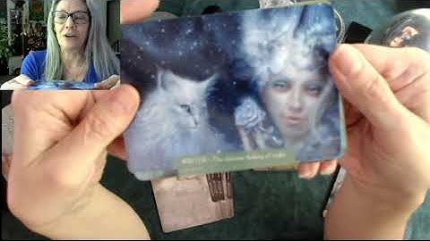 Unboxing: Barbieri Fantasy Cats Oracle