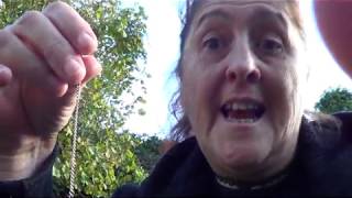 DOWSING FOR THE BLACK ALCHEMIST IN EASTBOURNE