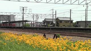関西本線5282列車(塩浜～南松本)DD51-889+1801+タキ