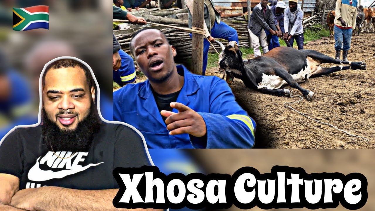 AMERICAN REACTS to THE TRUTH ABOUT XHOSA PEOPLE’S CULTURE ❤️