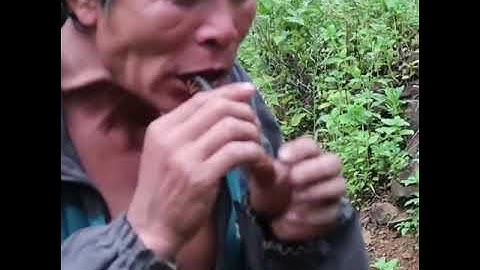 Ăn Rết sống -Đặc sản Tây Bắc Việt Nam