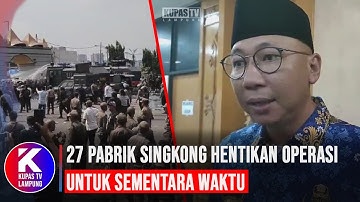 Kebijakan Harga Singkong Rp1 350 Berlaku, Puluhan Pabrik di Lampung Hentikan Operasi