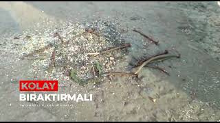 Kapaklı Hurdacı Mıknatısı - Metal, Çivi, Vida Toplama Mıknatısı