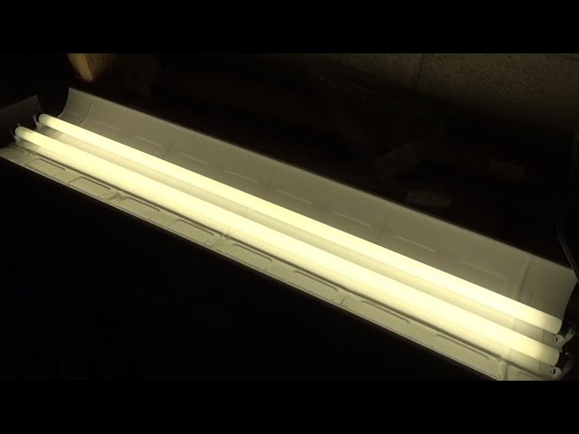 Lithonia Lighting L232 T8 Fluorescent