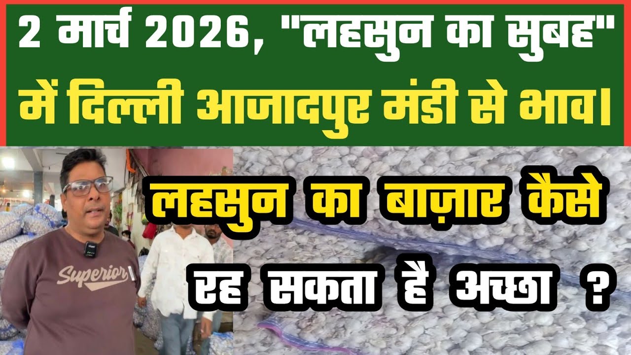 आज लहसुन में कैसी रौनक ? Azadpur Delhi Mandi Today 02-03-2026 को बने ऐसे Garlic Price DMT TV