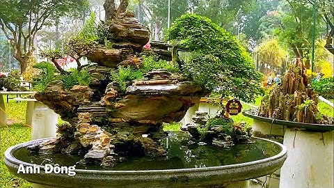 Những tiểu cảnh bonsai, hòn non bộ đẹp