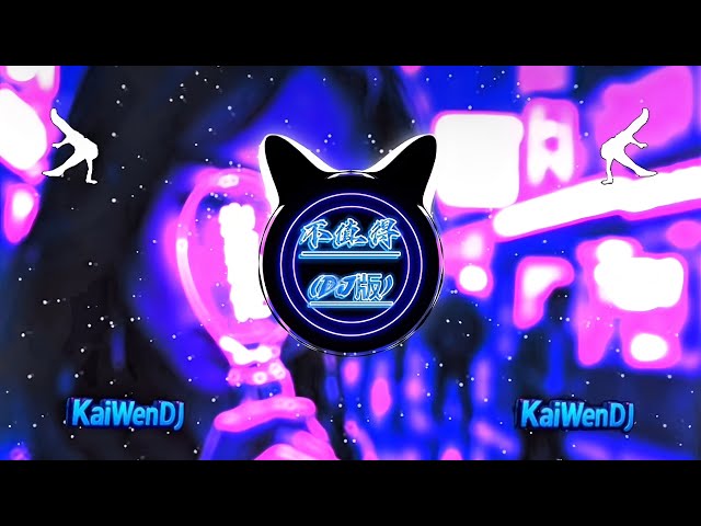 不值得dj - (梦飞船) (不值得dj) Không đáng (DJ抖音版2025) (TikTok Remix)