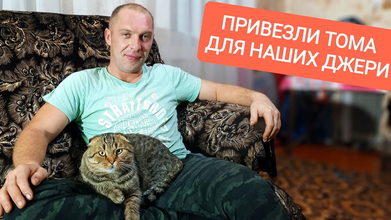 Наши Джери будут ходить по струнке- привезли Тома. Посадка озимого ...