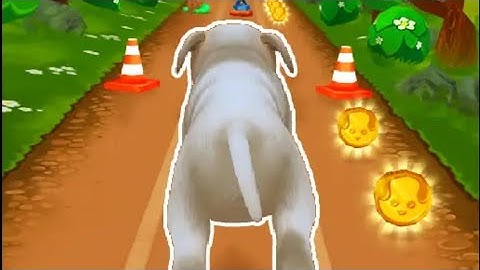 Pet Run Game | Dog 🐕 Run Game | Pet Run iOS/Android Gameplay #dog #petrun #dog 🐕