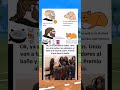 Los gatos 💀 #music #memes #suscribense #humormemes #humor #mascotas #perros #gatos #newmusic