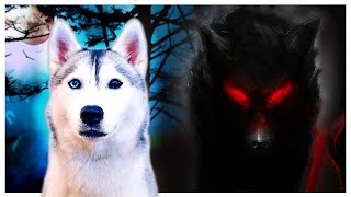 Spooky Ghost Story Freaks Out My Husky! (I can’t believe her reaction!)