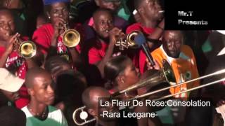 La Fleur De Rose Rara Leogane CONSOLATION